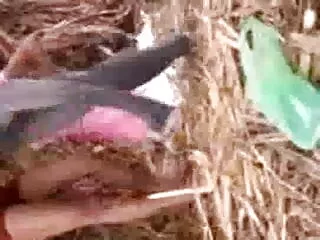 गर्म सेक्सी वीडियो फुल एचडी मूवी कमीने