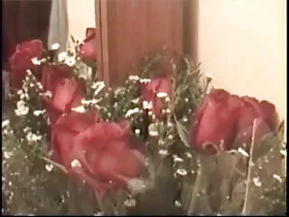 डॉन मैरी अंतरजातीय कार्रवाई जबरदस्ती सेक्सी वीडियो फुल मूवी