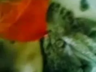 भव्य पत्नी चूसना हिंदी में सेक्सी वीडियो फुल मूवी और बकवास